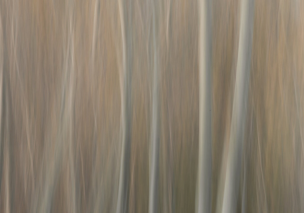 Illusion No.3 by Martin Osner, a fine art print