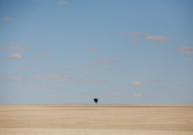 Solitary No.24