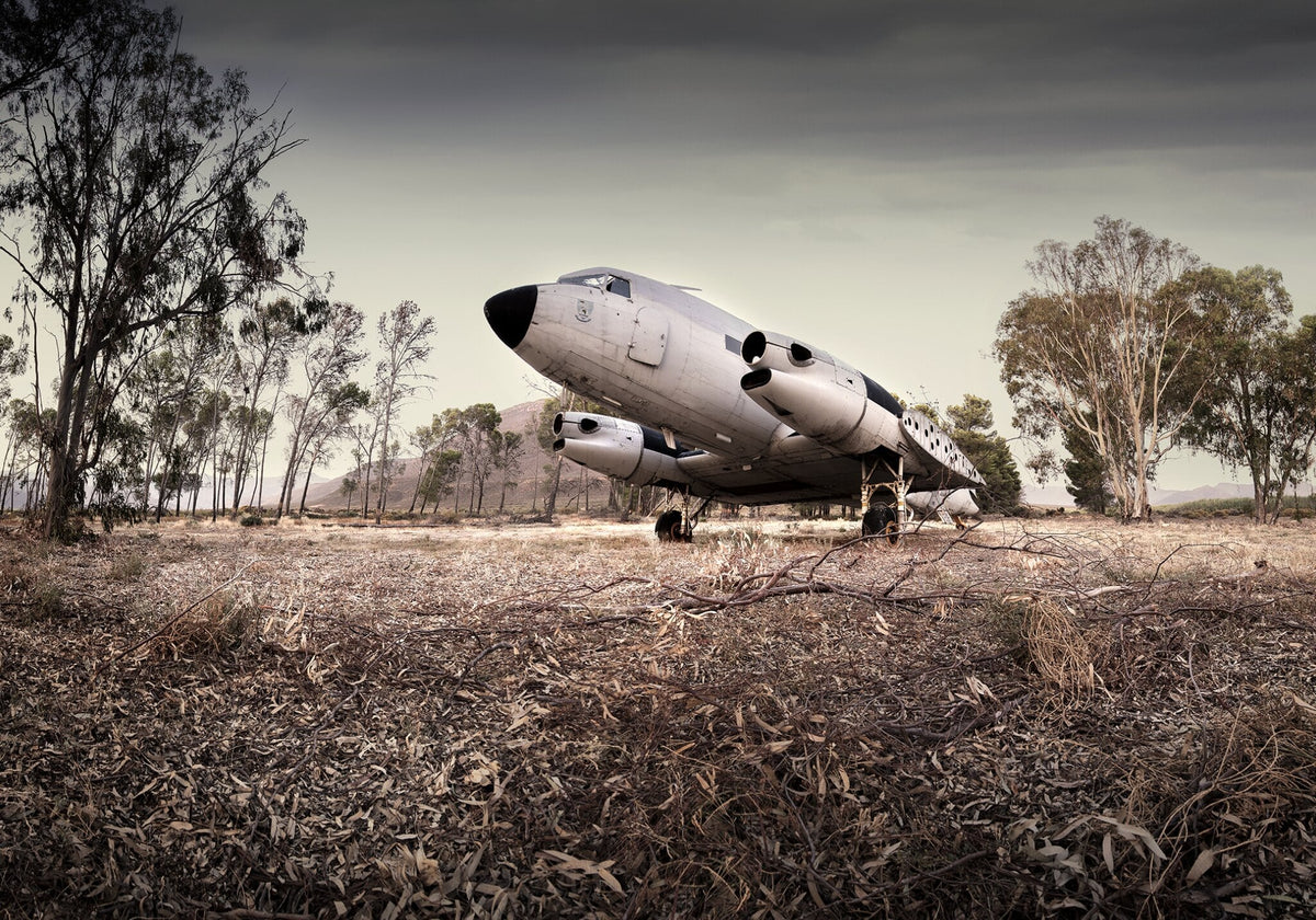 Abandoned No.29
