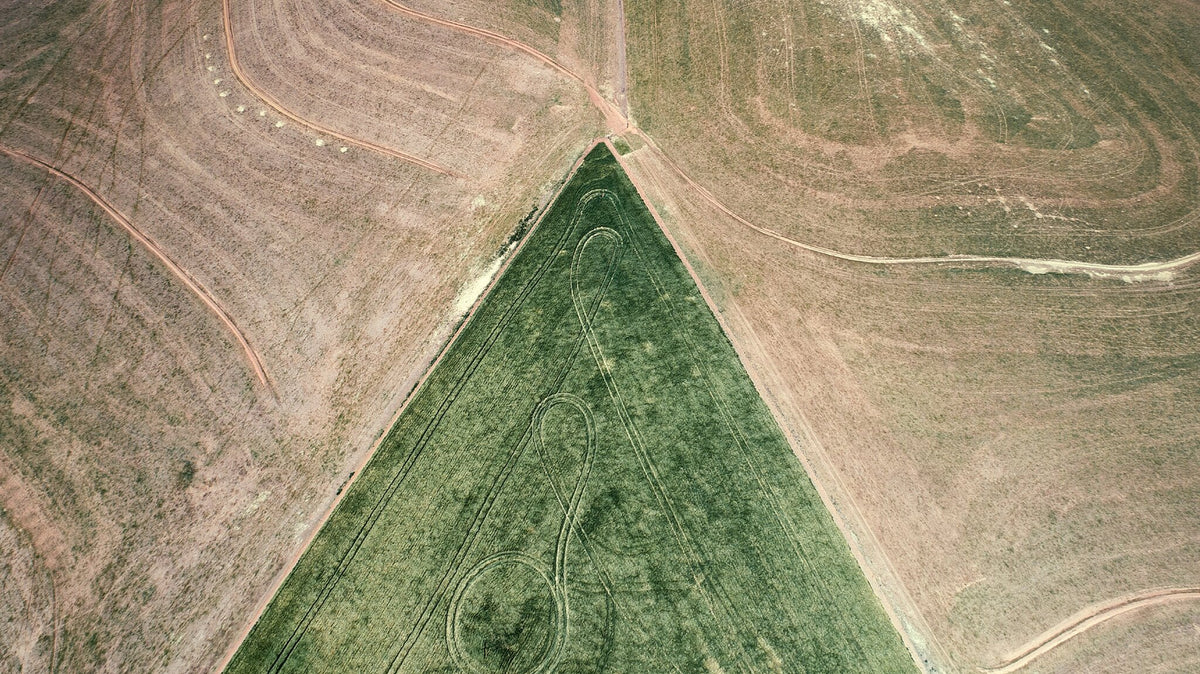 From Above | Delineation No.2