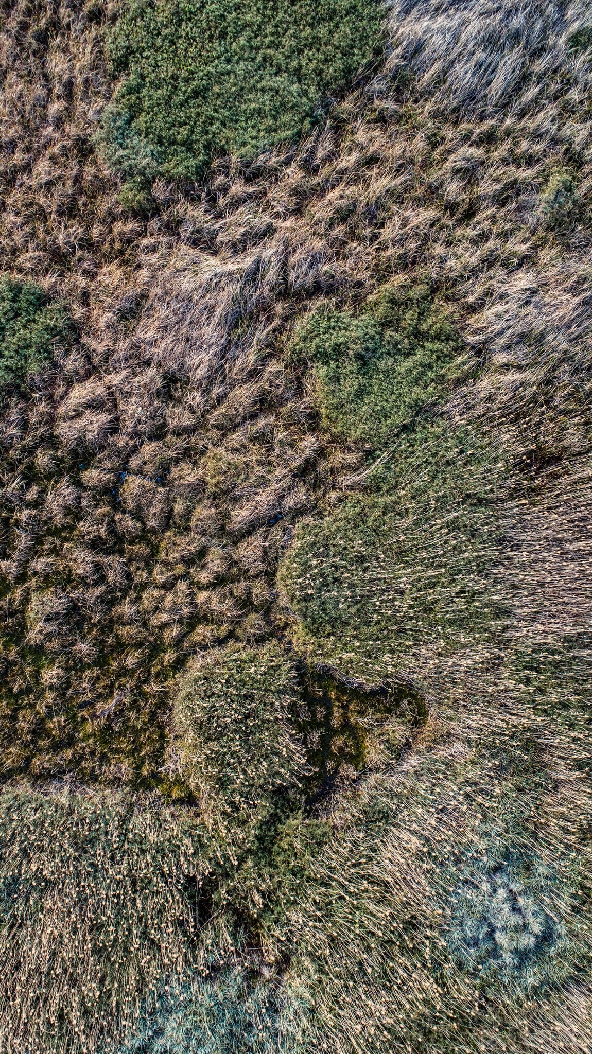 From Above | Nature's Design No.2