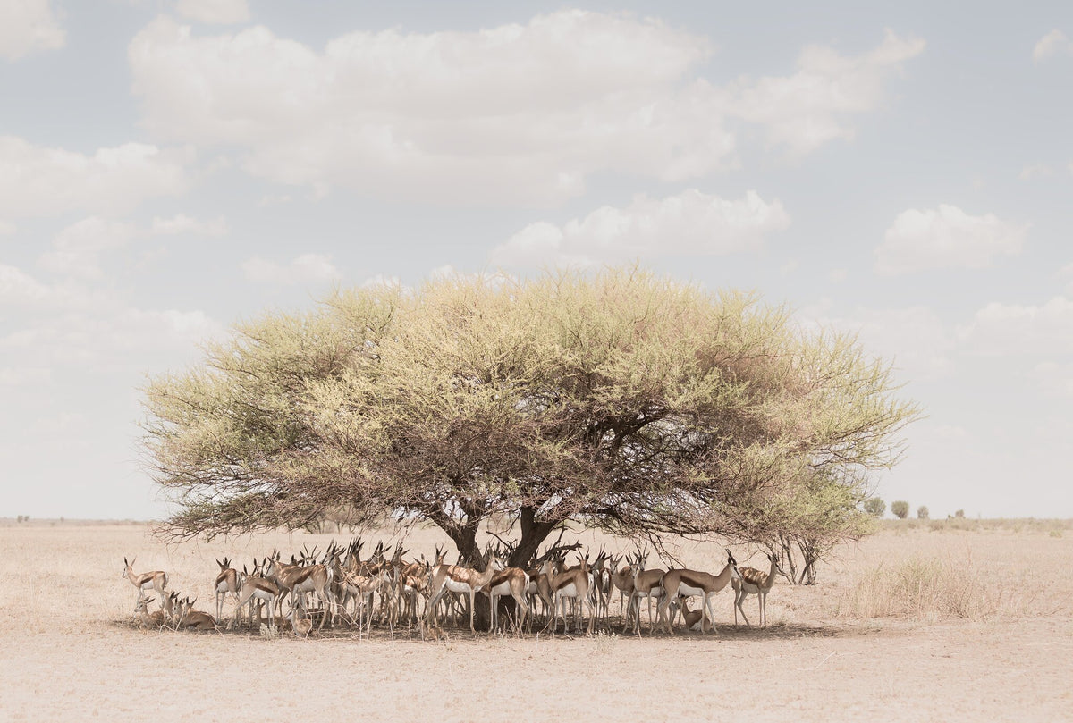 Gathering