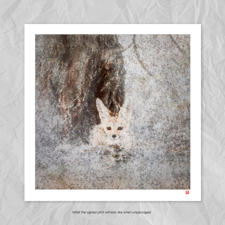 Cape Fox