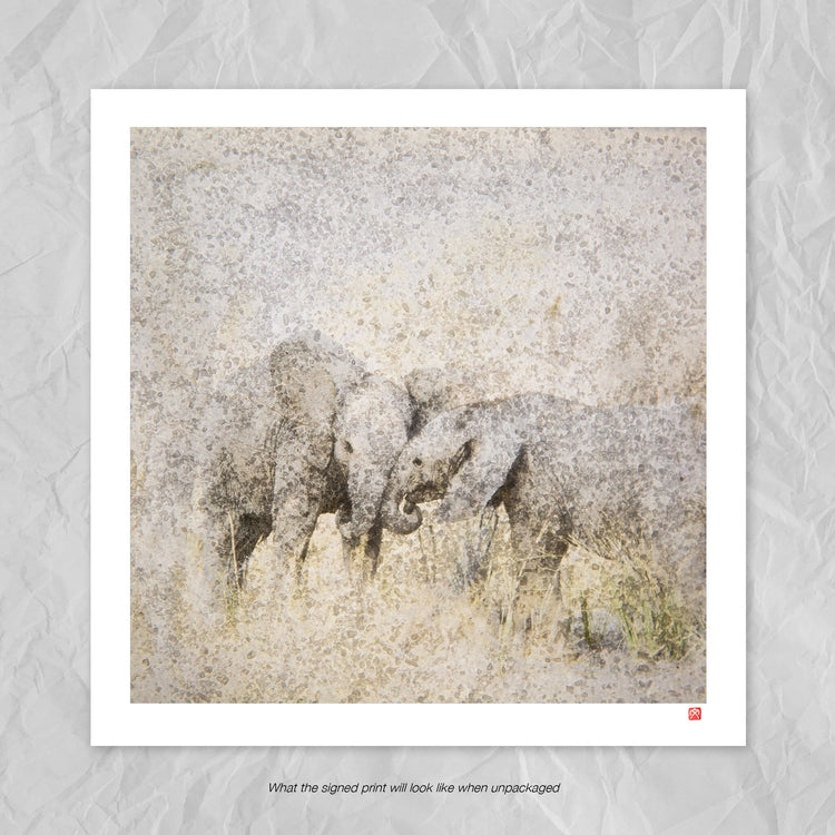 Elephant Babies