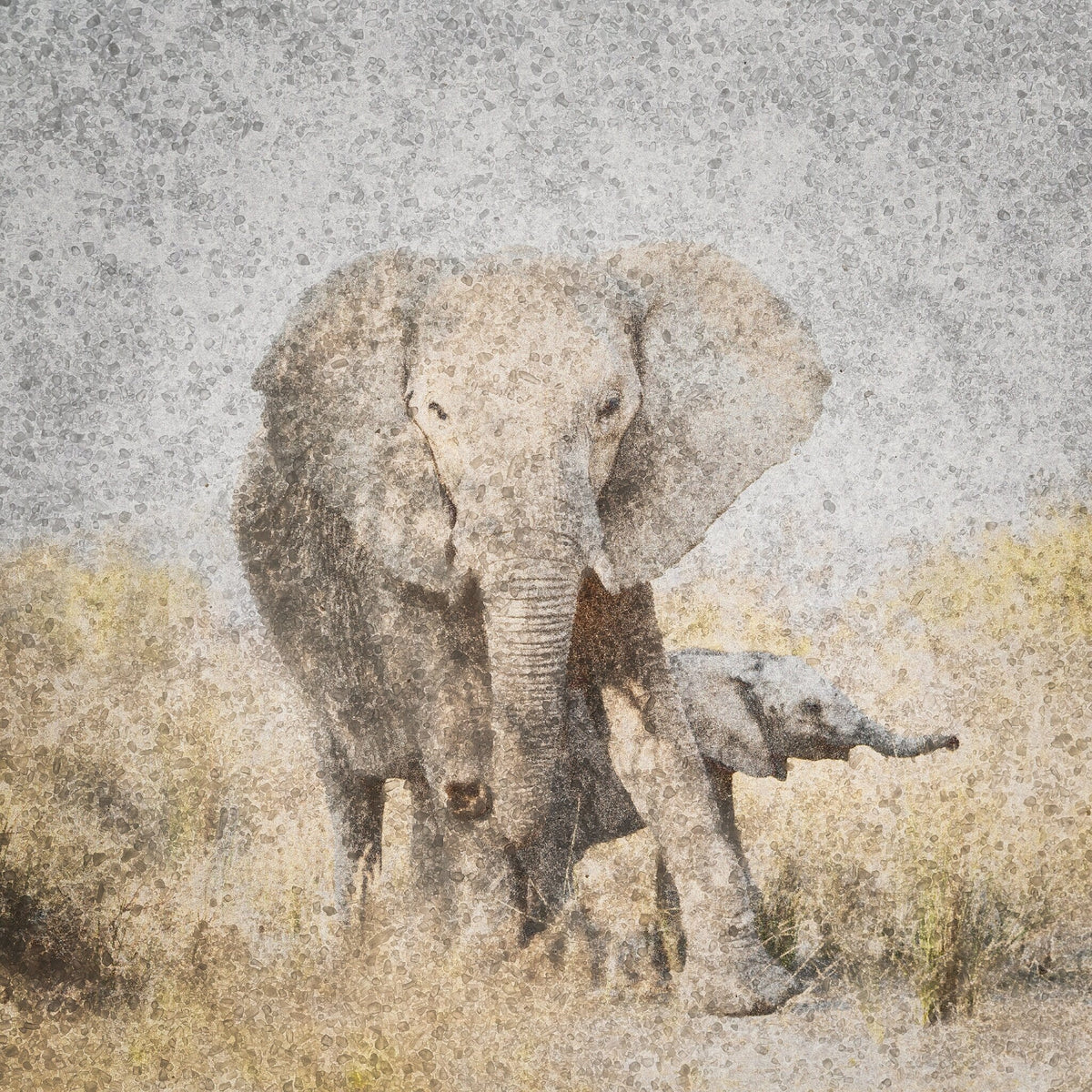 Elephant