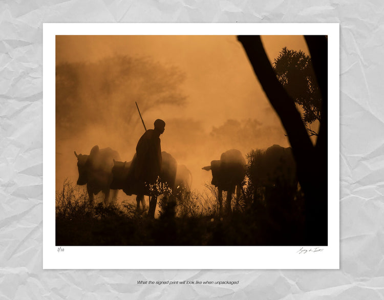 Maasai Shepherd