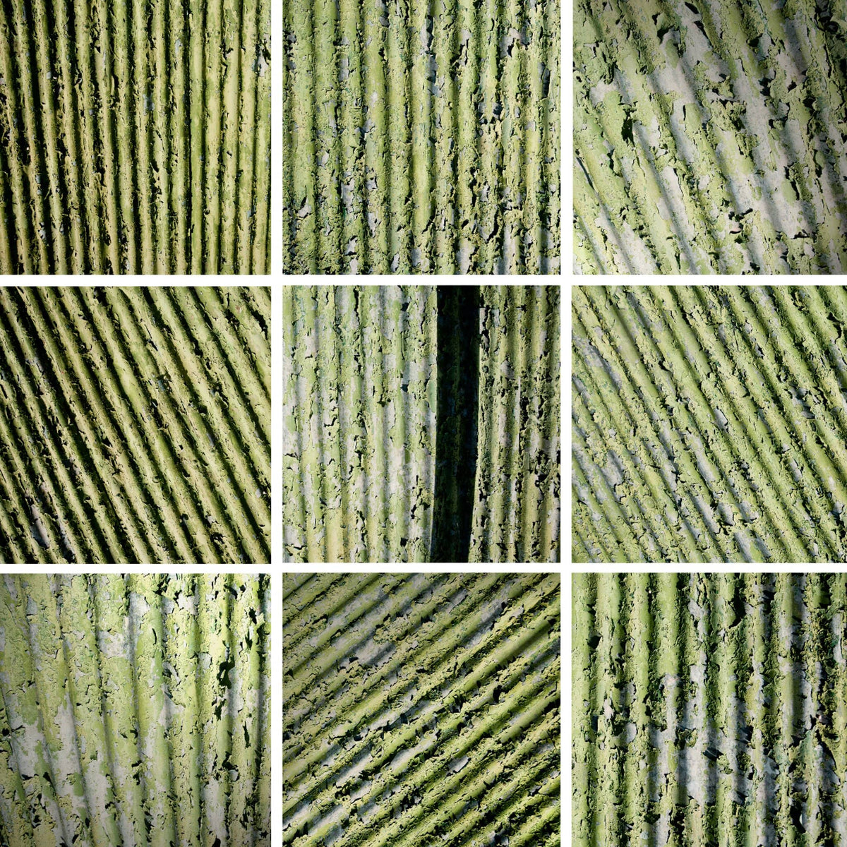 Analogous Anthology No.2