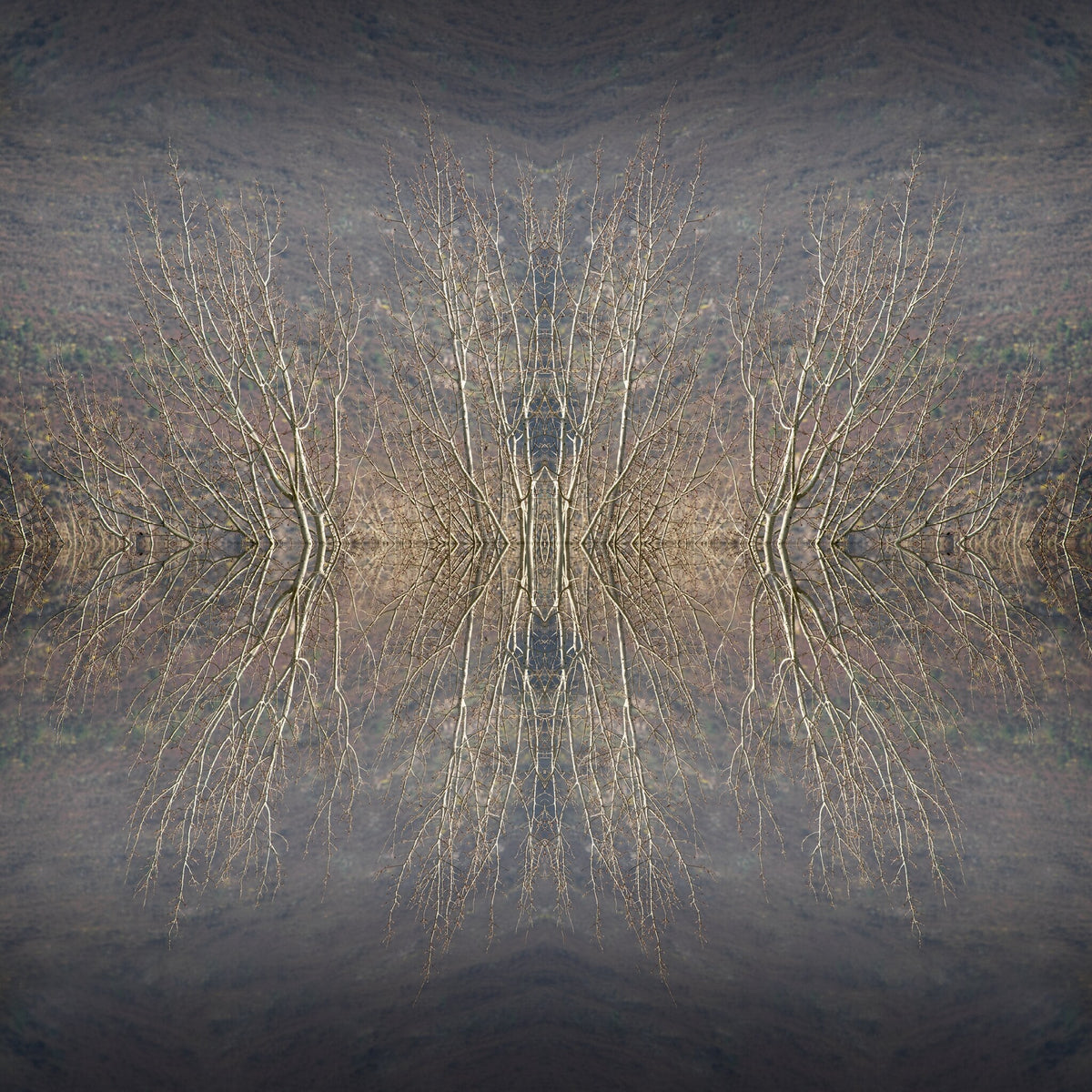 Mirror Island No.1