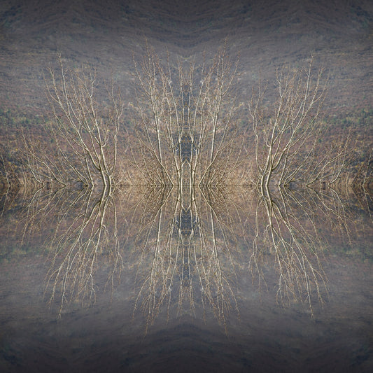 Mirror Island No.1