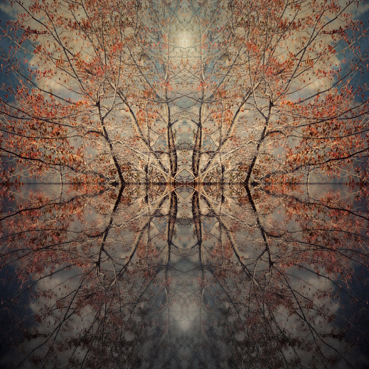 Mirror Island No.2