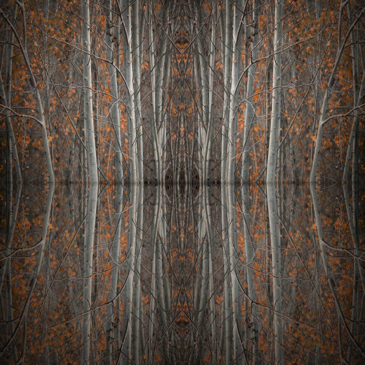 Mirror Island No.4