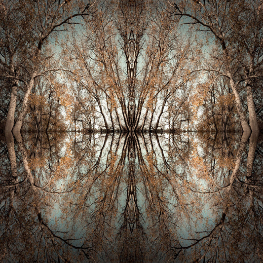 Mirror Island No.7
