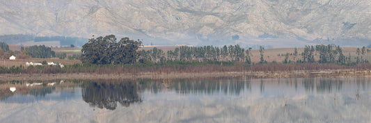 Majestic Reflection