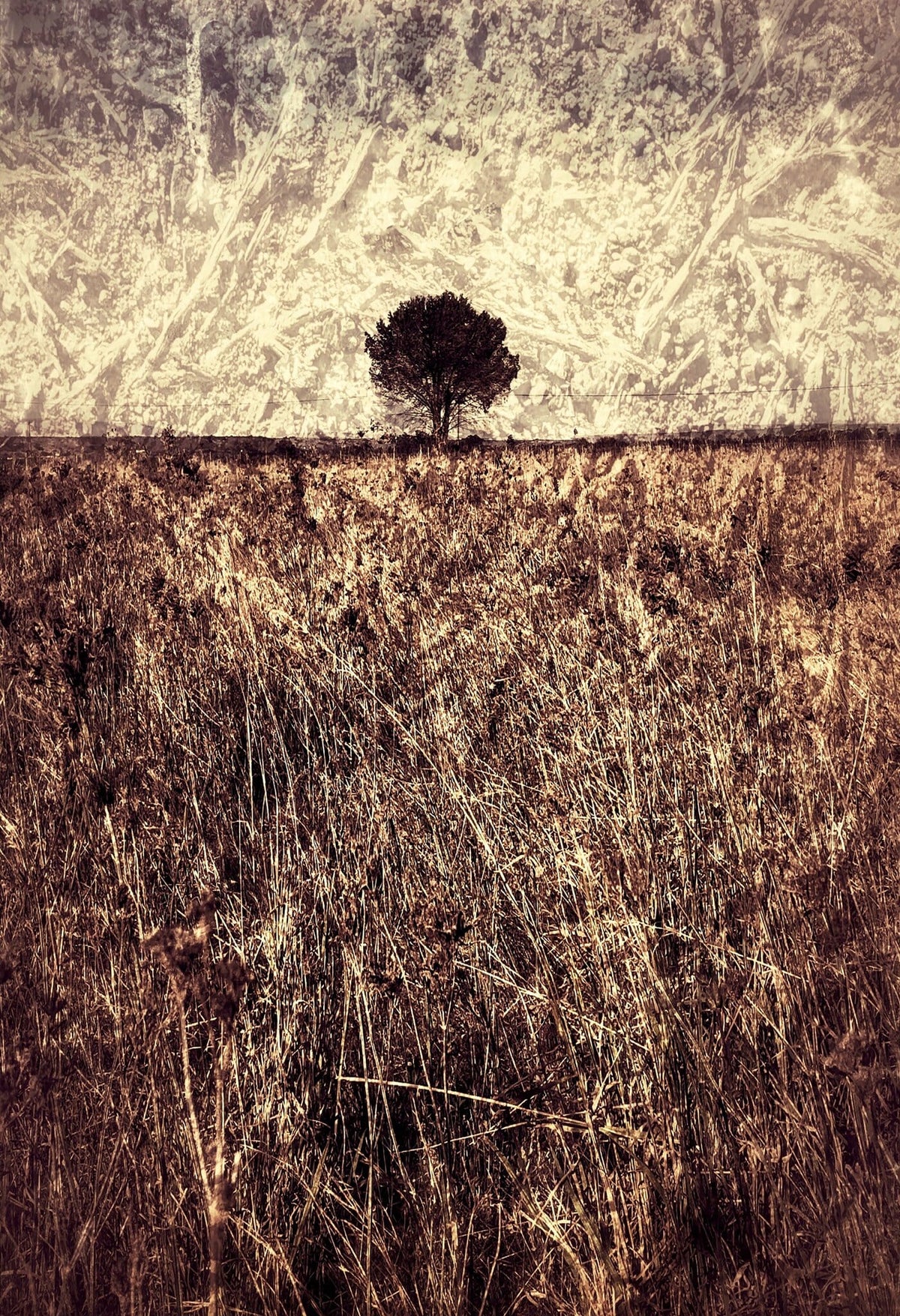 Quintessence No.1