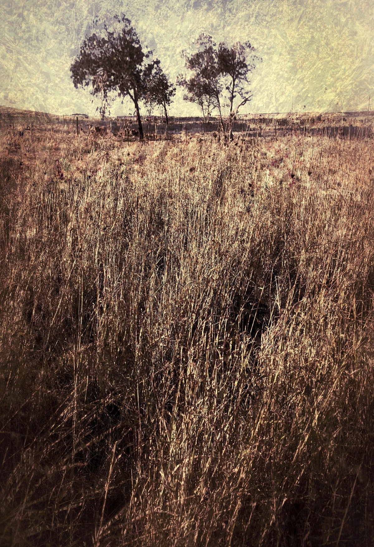 Quintessence No.2