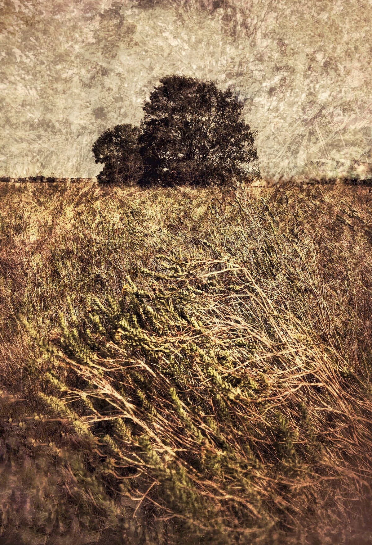Quintessence No.3