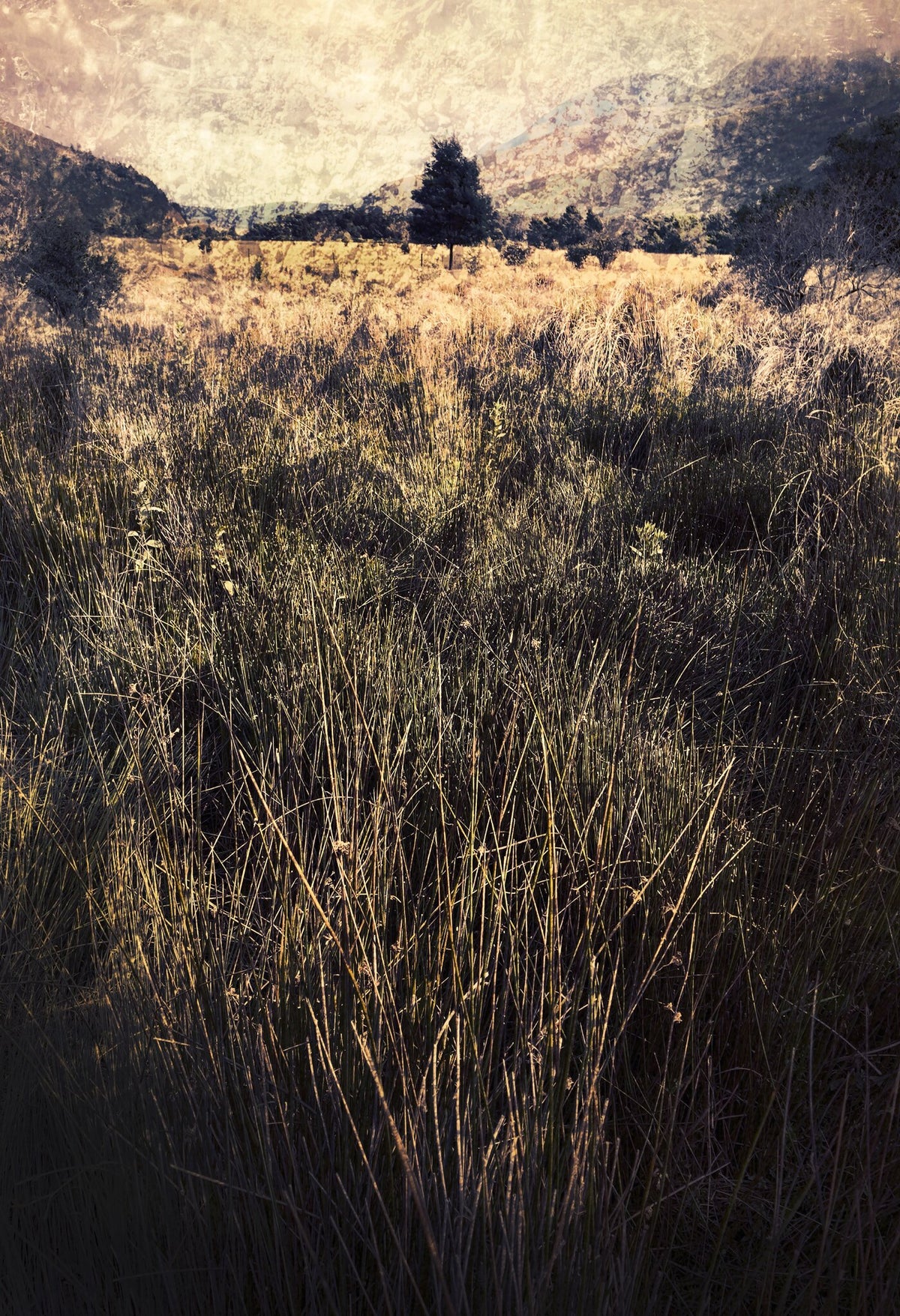 Quintessence No.4