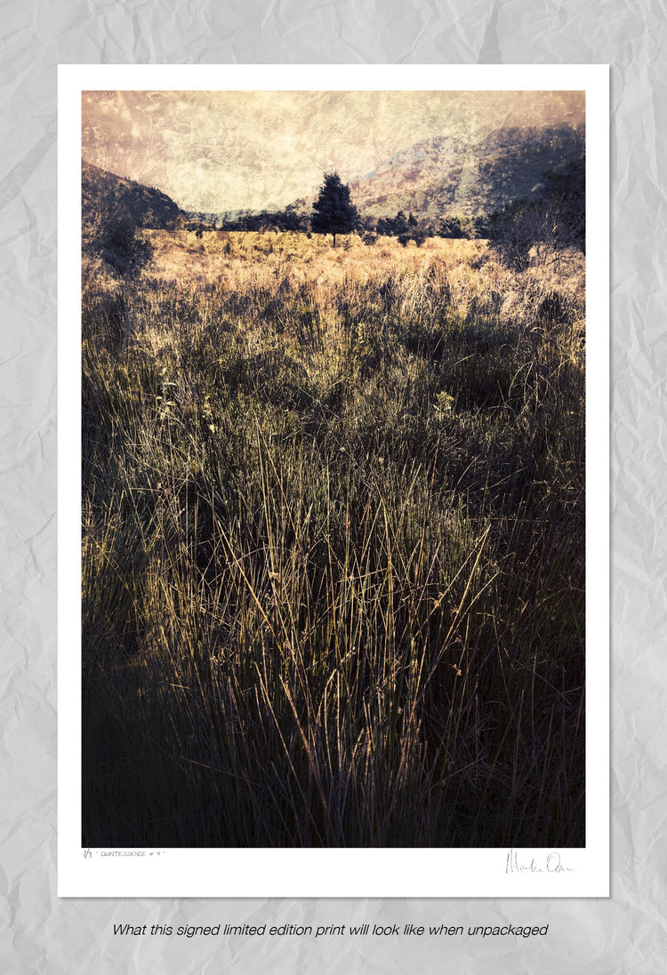 Quintessence No.4
