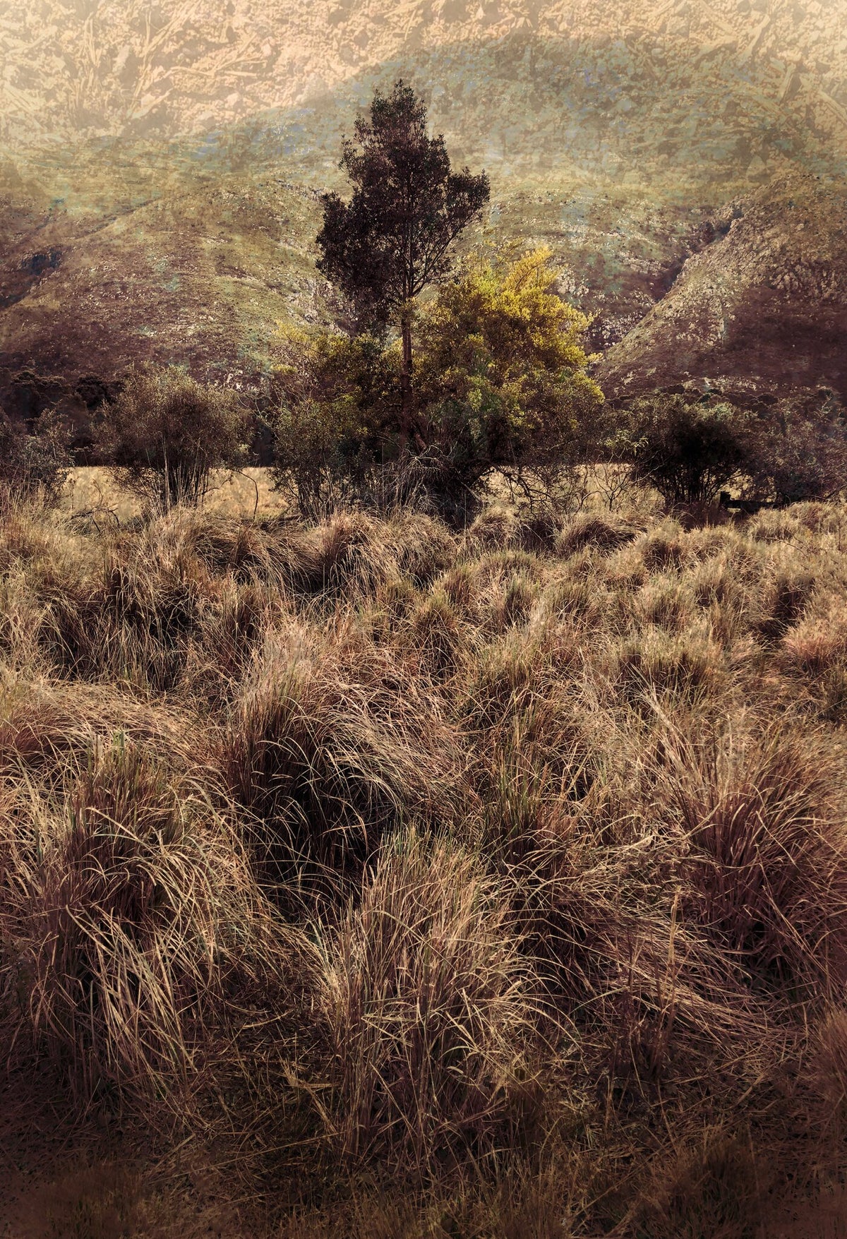 Quintessence No.6