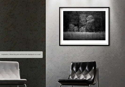 Ebony & Ivory - Leopards Lake