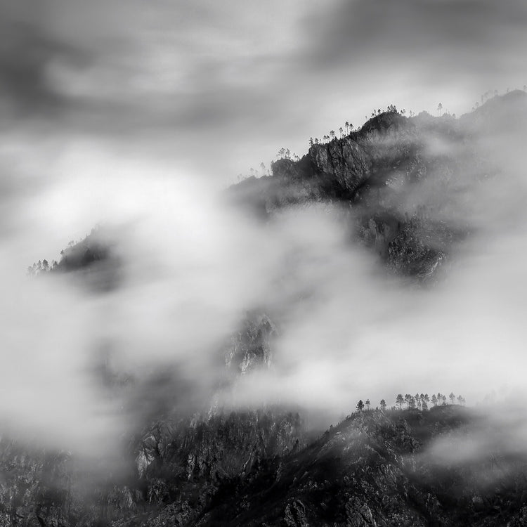 Ebony & Ivory - Misty Peak