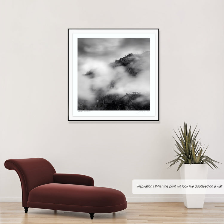 Ebony & Ivory - Misty Peak