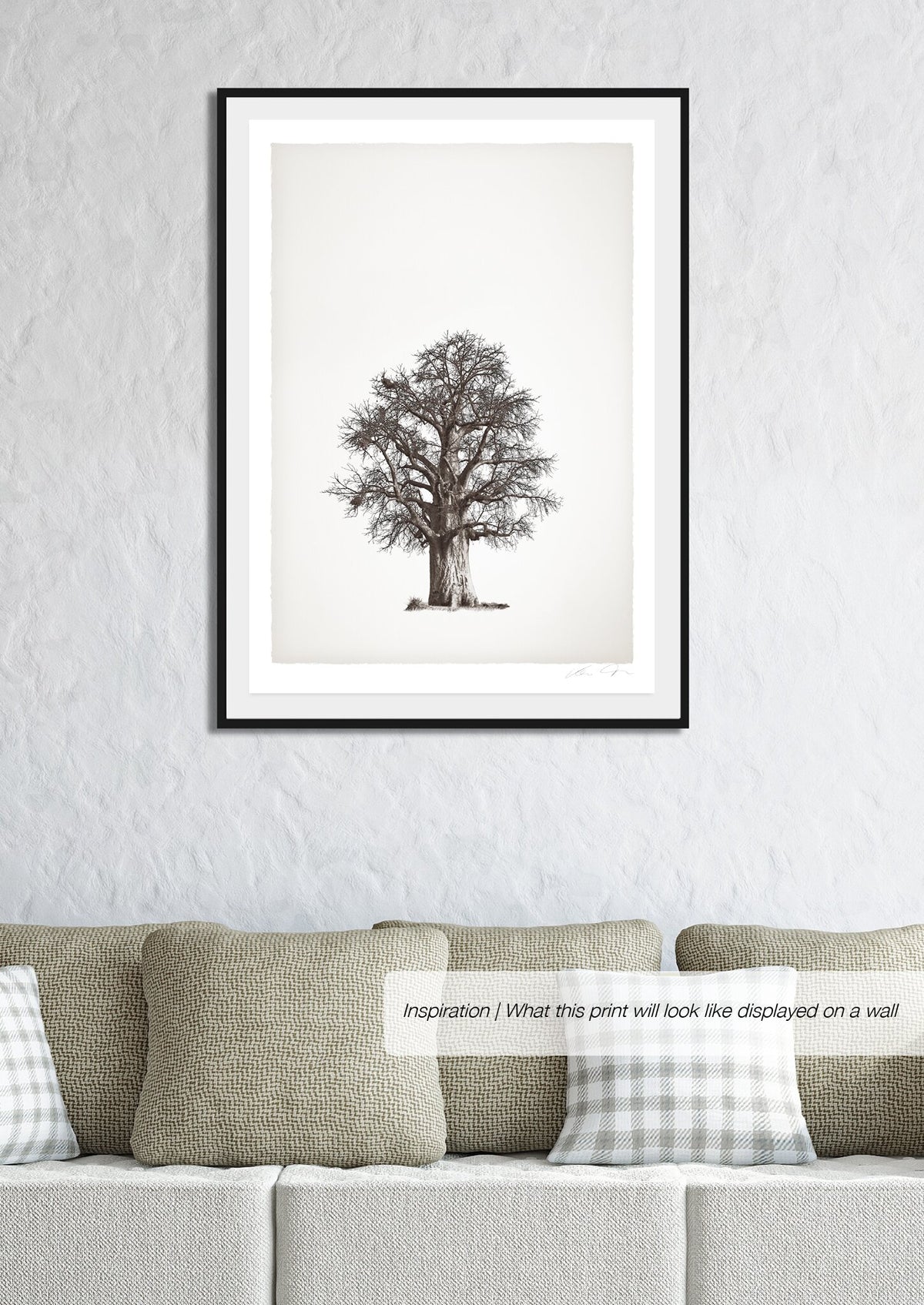 Baobab Legacy No.2