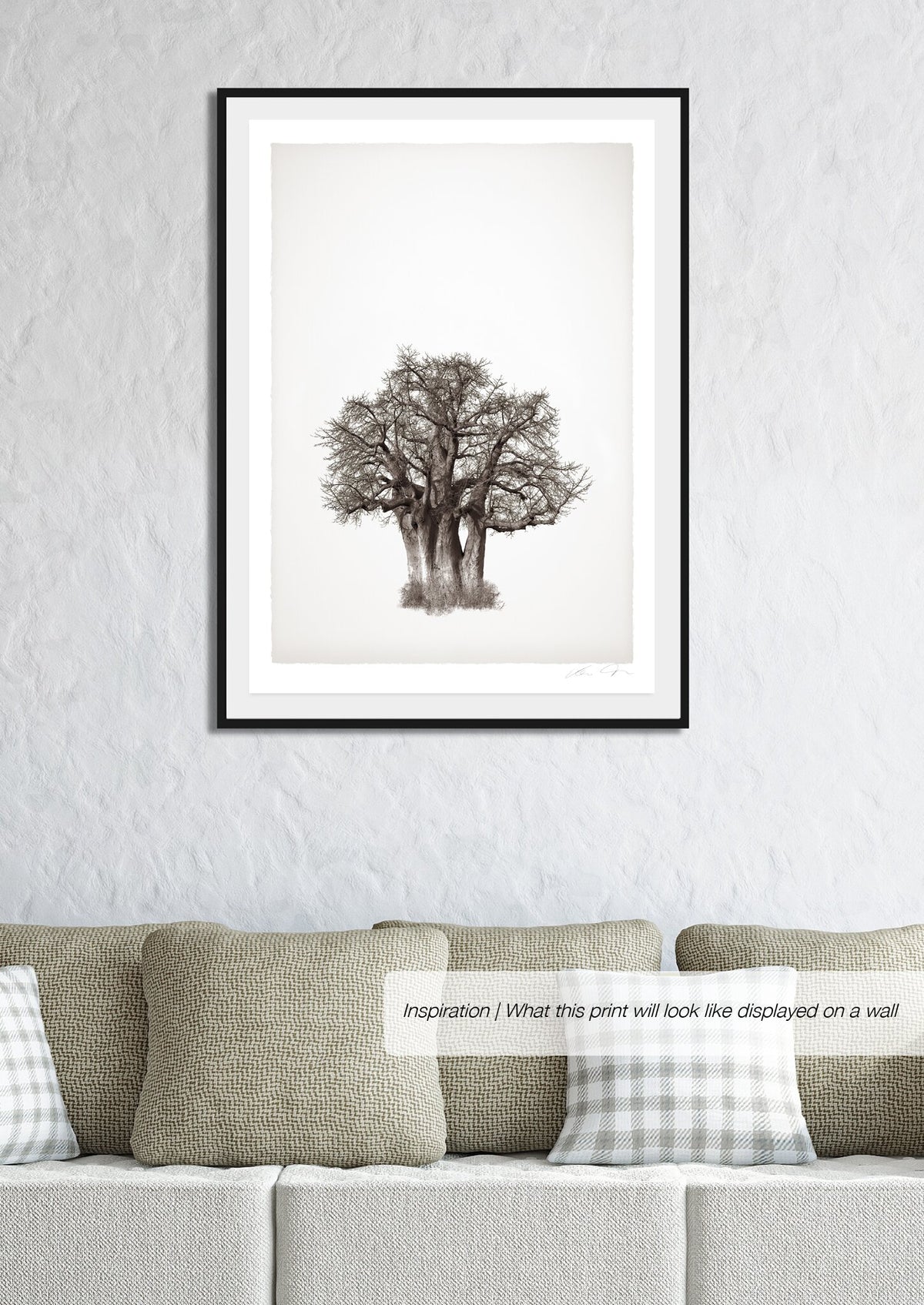 Baobab Legacy No.3