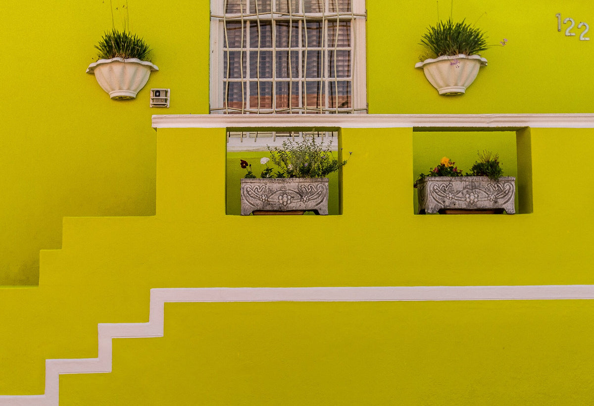 Bo Kaap | Lemon