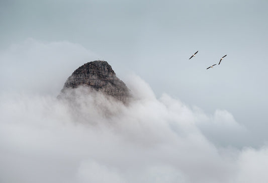 Classic Cape Town | Signal Hill