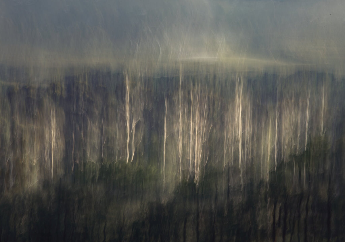 Creation No.4 by Martin Osner, an abstract Hemel en Aarde Valley print in soft light