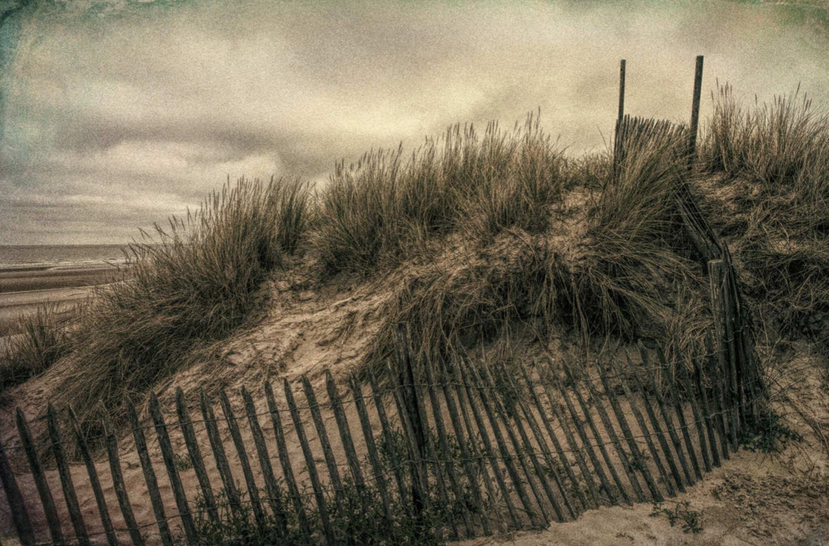 Dunes