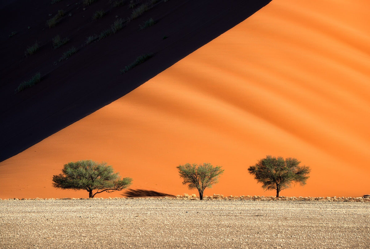 Sand mountains of Sossusvlei by Hougaard Malan, the dune spines of Sossusvlei