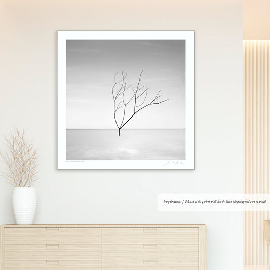 Silver Waters No.1