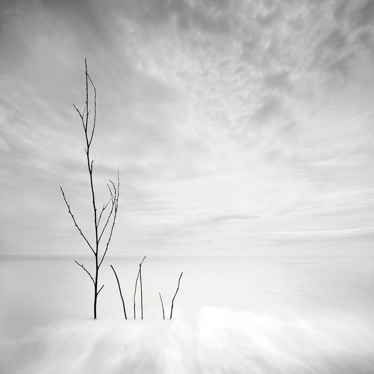 Silver Waters No.3