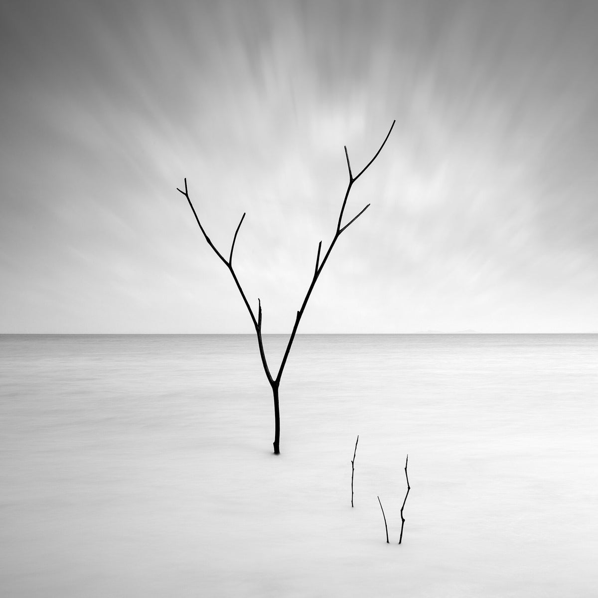 Silver Waters No.4 by Samantha Lee Osner, a tree silhouetted against still water