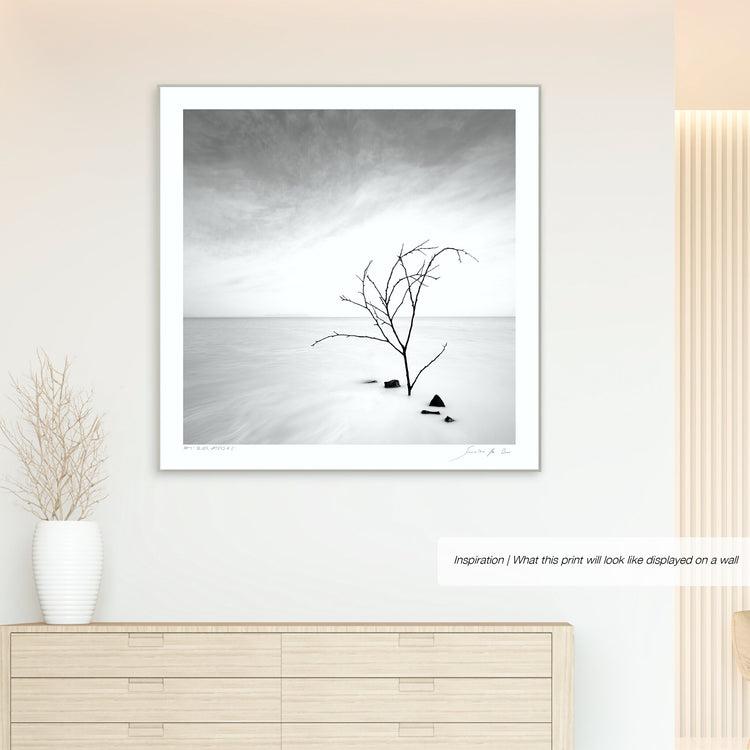 Silver Waters No.2