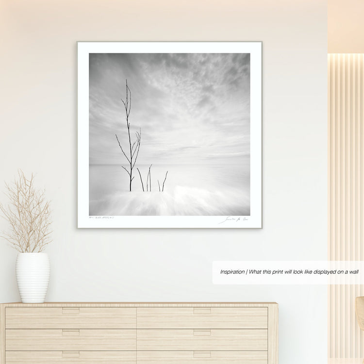 Silver Waters No.3