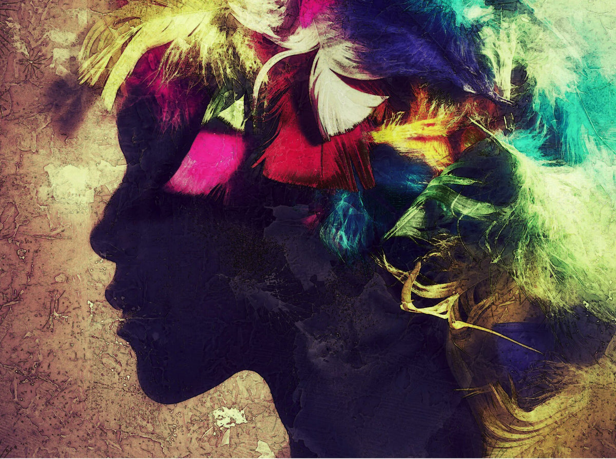 Adorn No.1 by Martin Osner, a pop art portrait of a woman adorned with feathers
