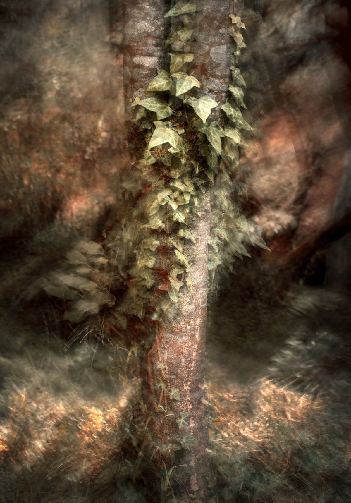 Enchanted No.2