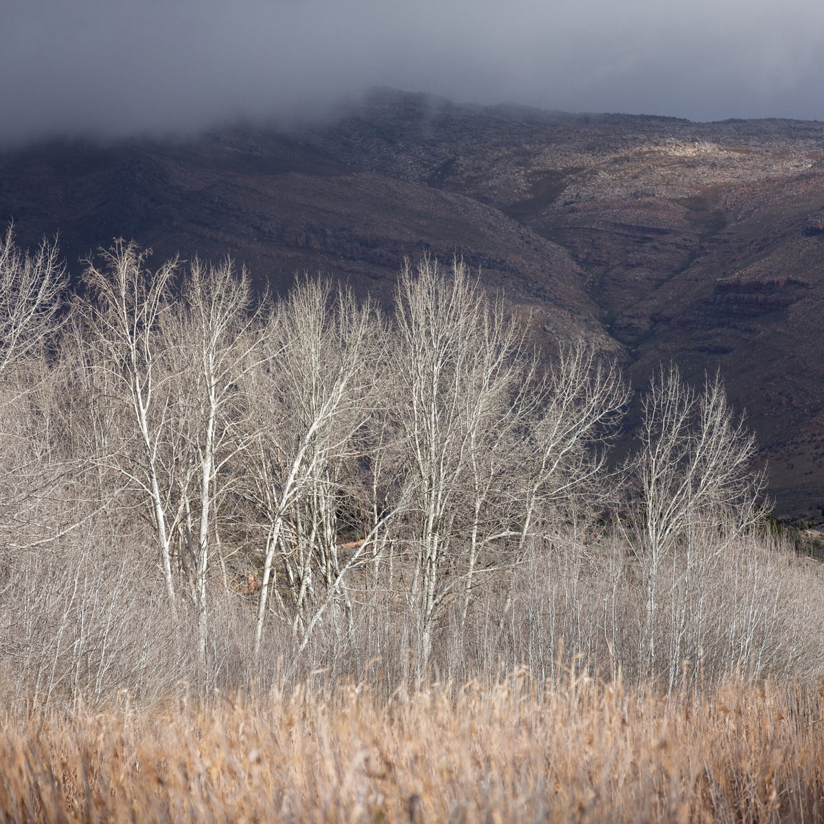 Pearl Valley No.2