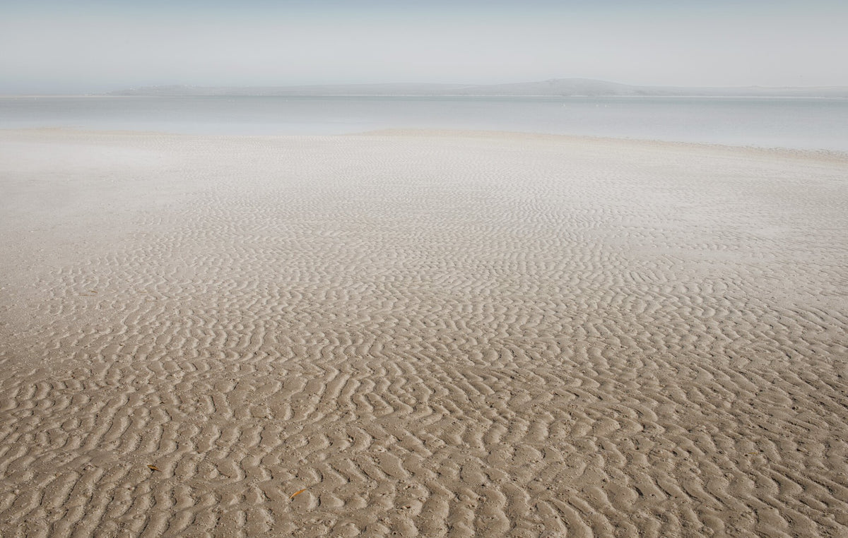 Sculptured Shore