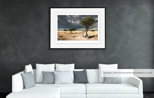 Lone Ghost Tree No.2