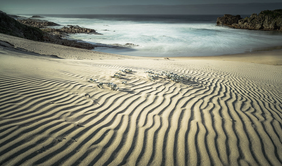 Luna Cove by Peter Corbett, a landscape photograph