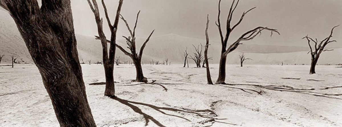 Deadvlei No.2