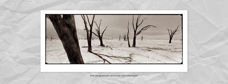 Deadvlei No.2