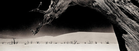 Deadvlei No.1