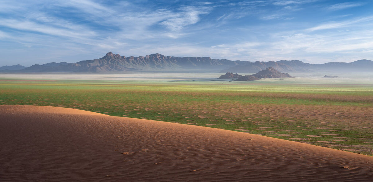 Restored | Namib in Flood