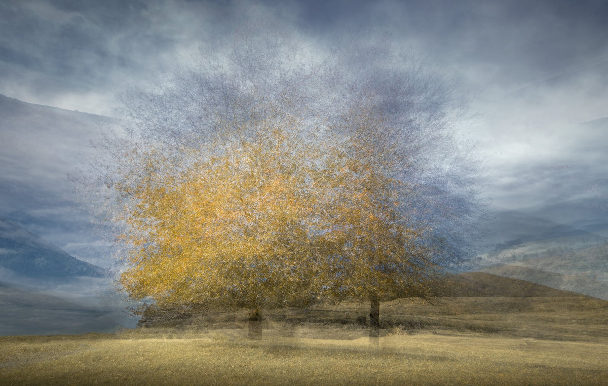 Aura No.3