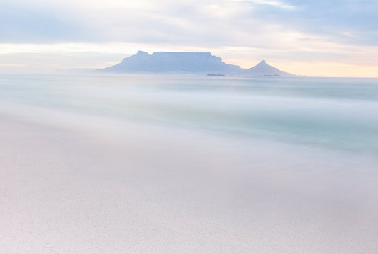 Velvet View | Table Mountain